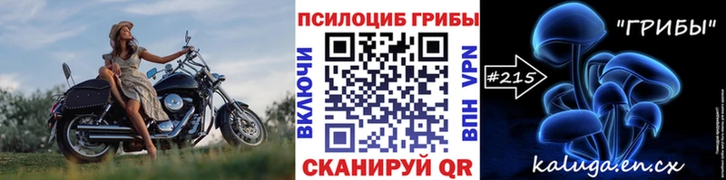 Псилоцибиновые грибы GOLDEN TEACHER  Онега 