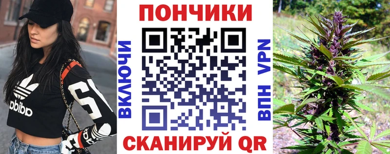 наркошоп  Онега  Шишки марихуана THC 21% 